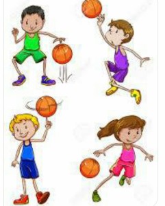 Basket2