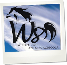 Wild Souls con Giocomondo